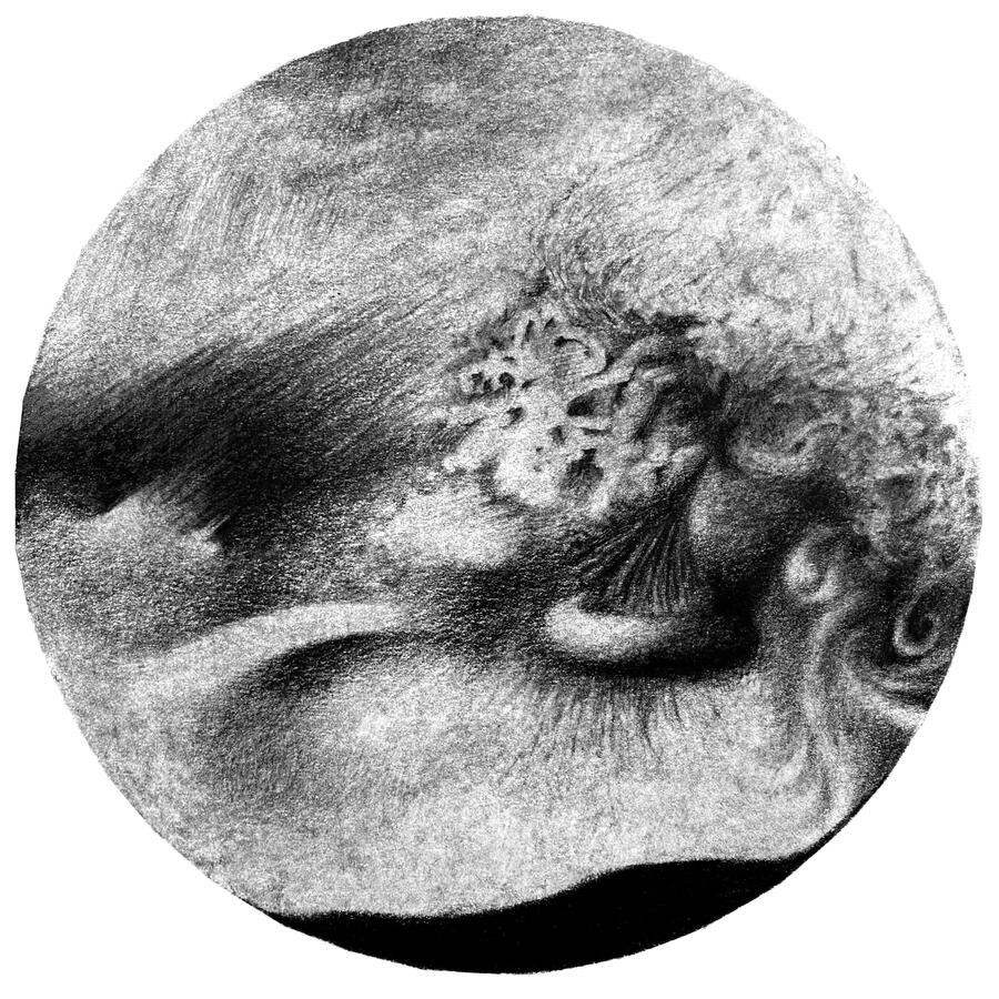 Tonda no. 6 (Last Judgment), 7" diameter